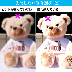 ＼2枚セット／ うちの子刺繍ワッペン オーダーメイド 刺繍の写真 ペット刺繍 フォト刺繍 pw62 10枚目の画像