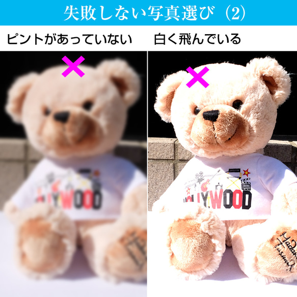 ＼2枚セット／ うちの子刺繍ワッペン オーダーメイド 刺繍の写真 ペット刺繍 フォト刺繍 pw62 10枚目の画像