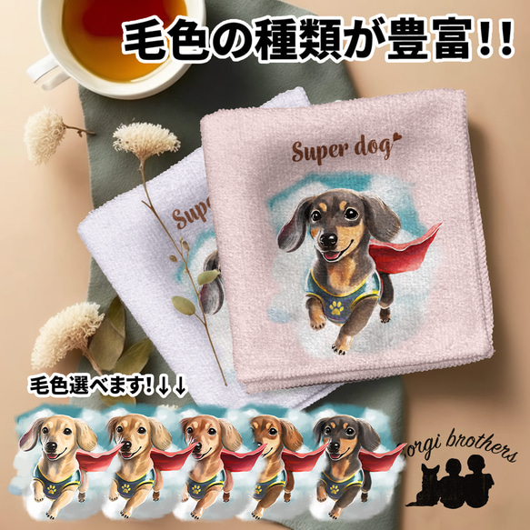 【 ヒーロー ダックスフンド 】 パステルカラー ハンカチ　2枚セット　犬　ペット　うちの子　プレゼント 1枚目の画像