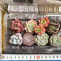 e2b3e34311e3705665bfa75f1dc339