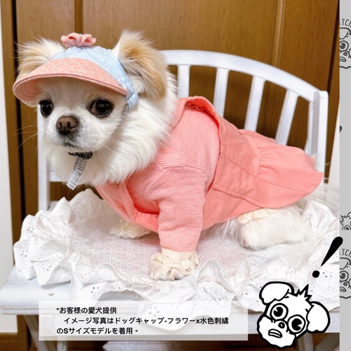 ドッグキャップ-白黒千鳥格子柄（耳出し）犬用帽子 ペット服