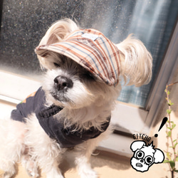 垂れ耳 キャップ 帽子 日よけ UV対策 紫外線対策 耳付き 犬 いぬ