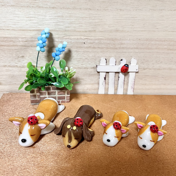 〜そのまま飾れる〜多肉植物寄せ植え(樹脂粘土レジン)コーギーの置物 2枚目の画像