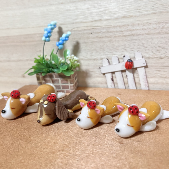 〜そのまま飾れる〜多肉植物寄せ植え(樹脂粘土レジン)コーギーの置物 1枚目の画像