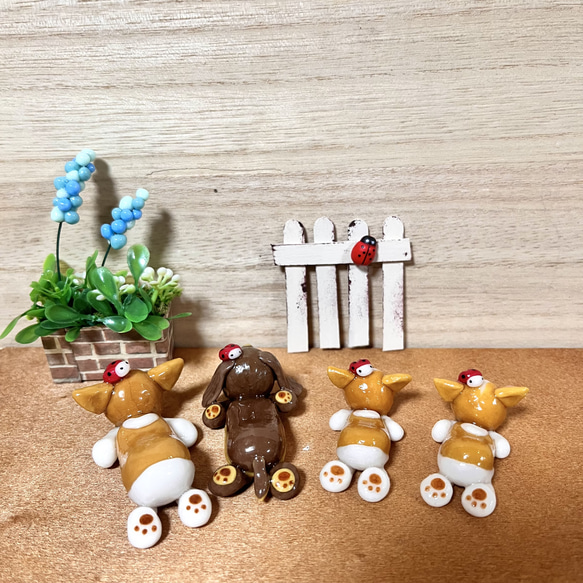 〜そのまま飾れる〜多肉植物寄せ植え(樹脂粘土レジン)コーギーの置物 4枚目の画像