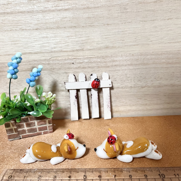 〜そのまま飾れる〜多肉植物寄せ植え(樹脂粘土レジン)コーギーの置物 5枚目の画像