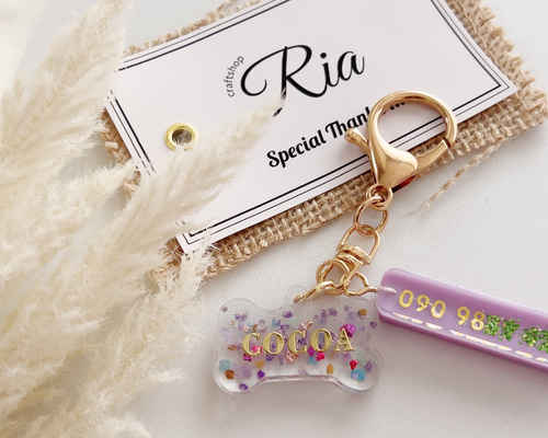 380656d0fc28ce3404e6d5dde3023f