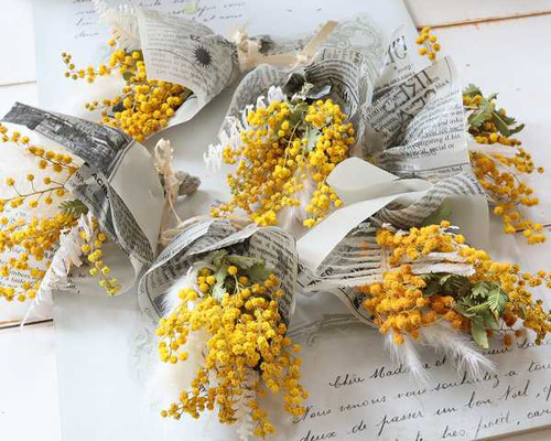 162f83ebac4d8226eb0059a8bc7c48