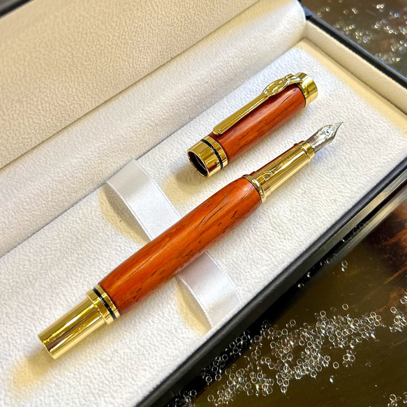 パドック万年筆&ボールペン 2WAY セット