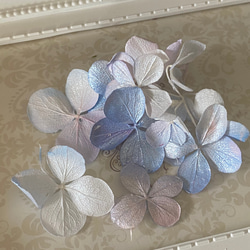 パール加工❣️アトランティスアジサイパステルグラデーション小分け❣️ハンドメイド花材プリザーブドフラワー 3枚目の画像