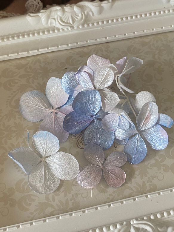 パール加工❣️アトランティスアジサイパステルグラデーション小分け❣️ハンドメイド花材プリザーブドフラワー 3枚目の画像