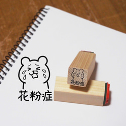 L36 花粉症 1枚目の画像