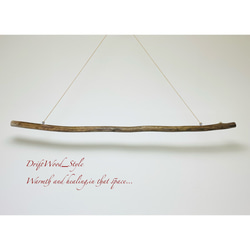 流木インテリア シンプルで真っすぐな大型流木のハンガーラック 北欧 衣装掛け ハンギング 吊り下げ ハンガーポール N2 7枚目の画像