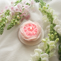 天然の蜜蝋　薔薇のキャンドル　オリビアローズオースチン 2枚目の画像