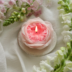 天然の蜜蝋　薔薇のキャンドル　オリビアローズオースチン 5枚目の画像