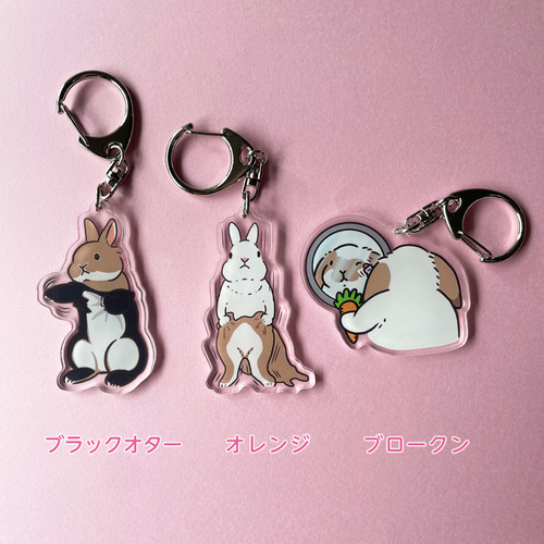 うさぎの変身シリーズ アクリルキーホルダー その他アクセサリー