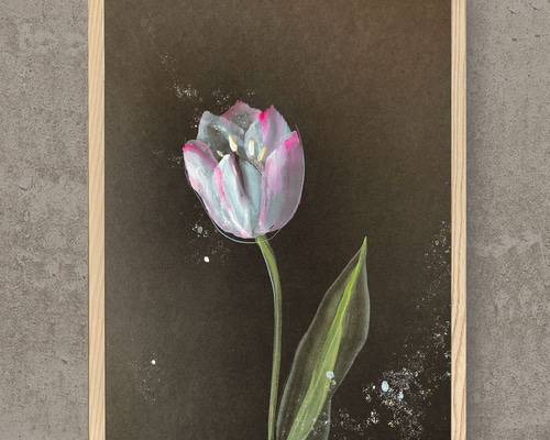 一輪のチューリップの花 ーb 【A3 原画】 絵画 DENNY HORIMIZU