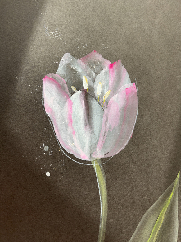 一輪のチューリップの花　ーb 【A3 原画】 4枚目の画像