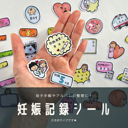 母子手帳　妊娠記録　成長記録　マタニティ　男の子エコー　フレークシール Amazon.co.jp: エコー記録 男の子 母子手帳 妊娠記録 マタニティ