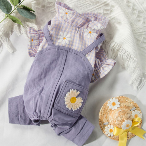 犬服　デイジー☆様　ハンドメイド 犬服デイジー☆様ハンドメイド