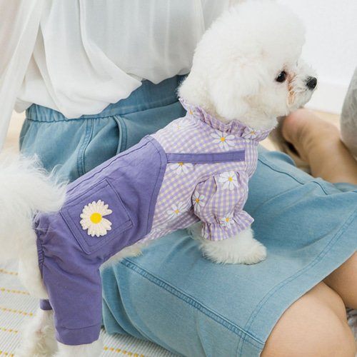 犬服 可愛い 綺麗 デイジー飾り付き 春夏雰囲気満々 ペットストラップ