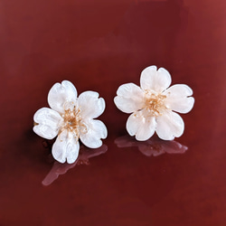 Everpink. こだわりのお花で仕上げた本物の桜のイヤリング　小ぶりミニサイズから大ぶりまでご指定可能　【受注制作】 7枚目の画像