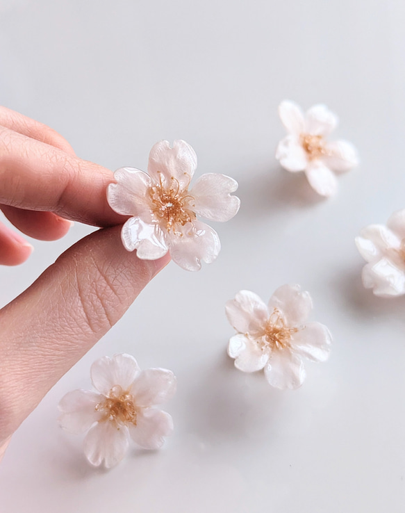 Everpink. こだわりのお花で仕上げた本物の桜のイヤリング　小ぶりミニサイズから大ぶりまでご指定可能　【受注制作】 5枚目の画像