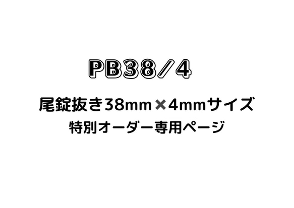 PB38/4 尾錠抜き38mm✖️4mmサイズ/完全オーダー 1枚目の画像