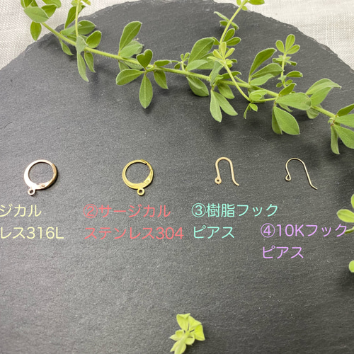 ピーターサイトのピアス(イヤリング)5/6 ピアス（フック・チェーン