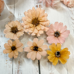[送料無料]プリザの花箱✿Peach Fizz ピーチフィズ 花材 詰め合わせ プリザーブドフラワー ドライフラワー 5枚目の画像