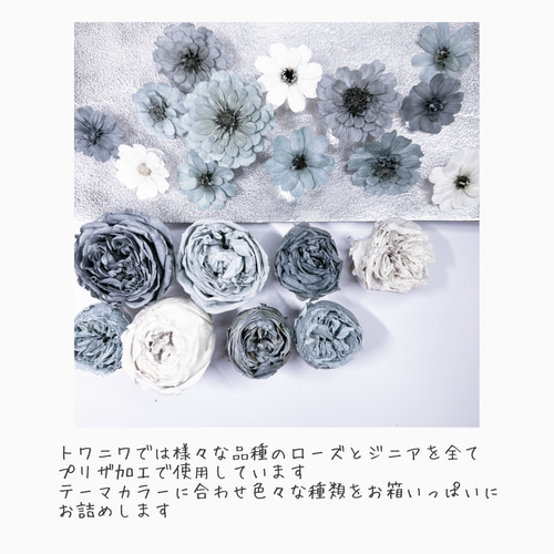 ジニアの小箱✿花材セット 詰め合わせ プリザーブドフラワー