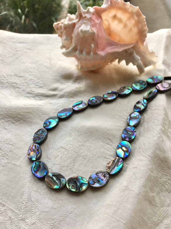 396 高品質アバローニ（アバロン）シェル 14×10㍉【ランダム特価 6枚