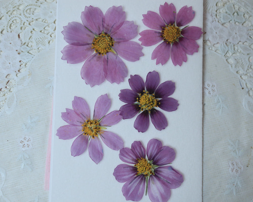 252ffa6b1e6e152ae3386688fadfd4