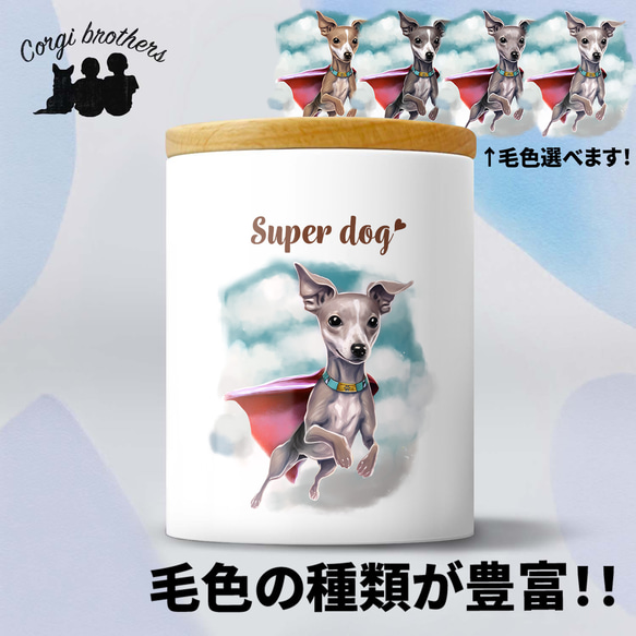 【 ヒーロー イタリアングレーハウンド 】 キャニスター　保存容器　お家用　プレゼント　犬　ペット　うちの子　犬グッズ 1枚目の画像