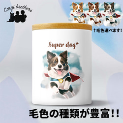 【 ヒーロー ボーダーコリー 】 キャニスター　保存容器　お家用　プレゼント　犬　ペット　うちの子　犬グッズ 1枚目の画像