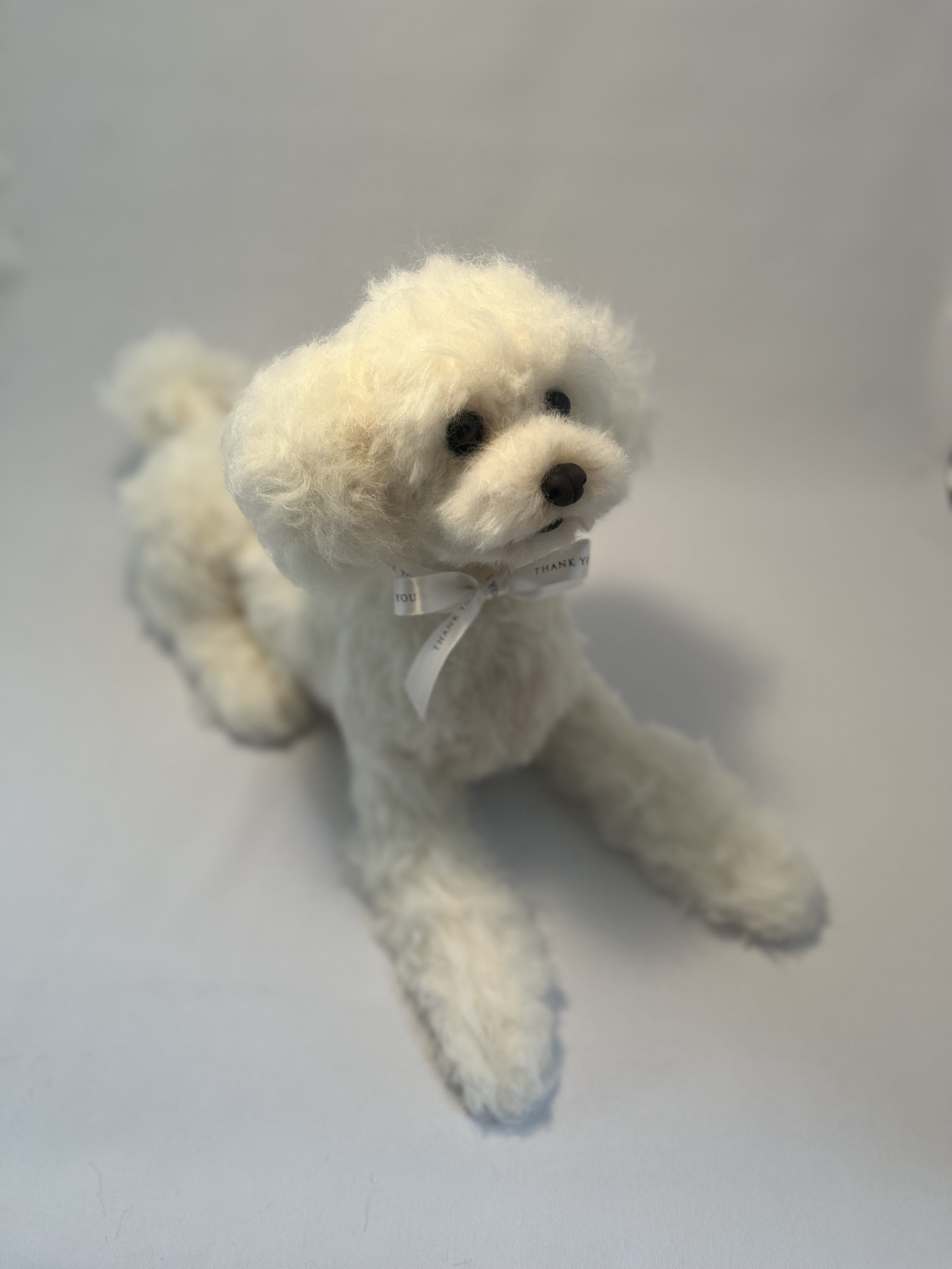 羊毛フェルトの愛犬さんオーダーメイド大きなサイズ