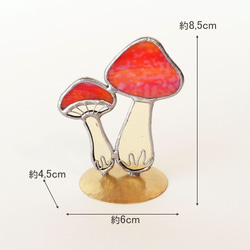  第3張的照片