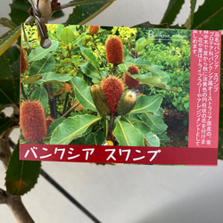 3783dd71e561f2bcdc25030652f556