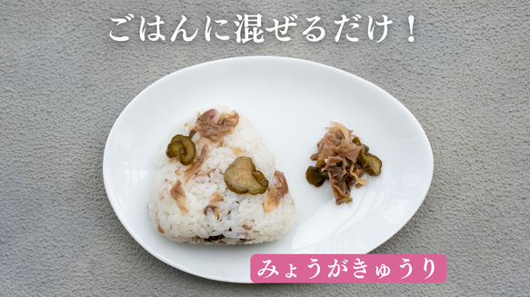  第1張的照片