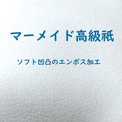 高校入学(中学入学)　入学祝い　合格祝い　お祝い袋　ご祝儀袋　のし袋　進学祝い　代筆 7枚目の画像