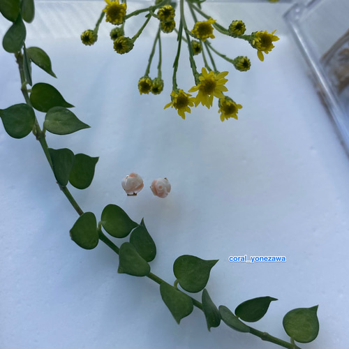 赤珊瑚 白珊瑚 翡翠 まとめ売り