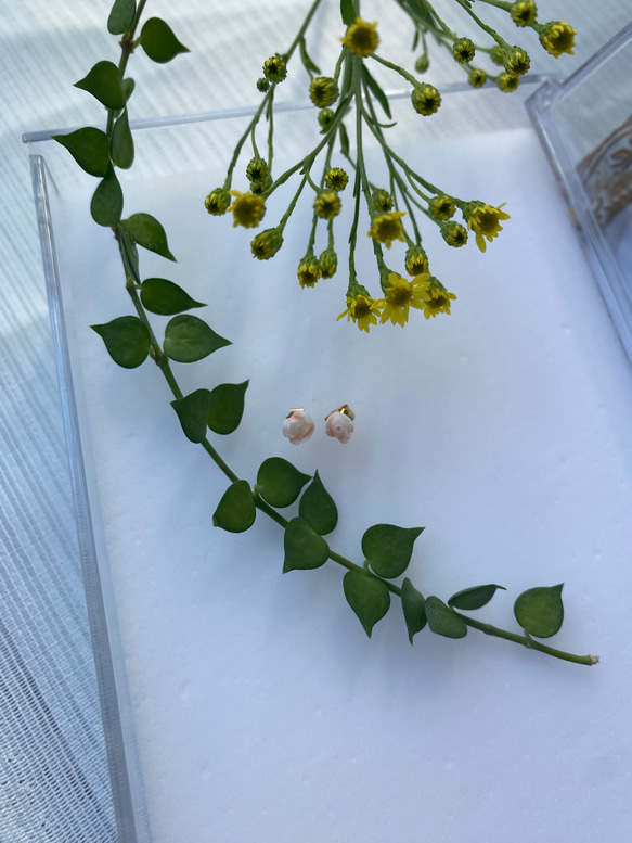 【高知産⭐︎宝石珊瑚】モモイロサンゴ　花彫刻　K18YGピアス 6枚目の画像