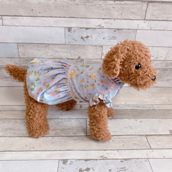 犬服✨リバティ フリル付きワンピース 犬用 犬の洋服 わんこ服 12枚目の画像