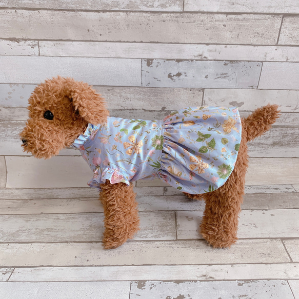 犬服✨リバティ フリル付きワンピース 犬用 犬の洋服 わんこ服 11枚目の画像