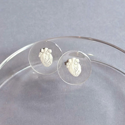 心臓標本風ピアス 2種 5枚目の画像