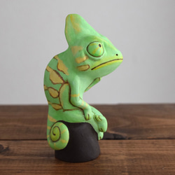 思考變色龍 第5張的照片