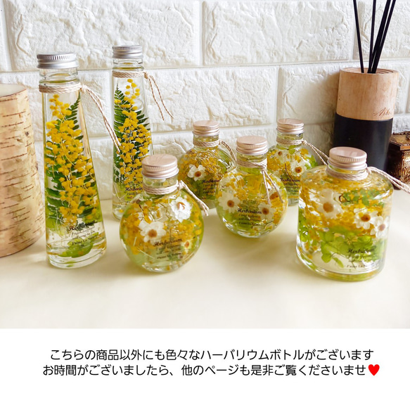 ★春色新作2023★ハーバリウム『 mimosa（ミモザ）№7 』 11枚目の画像