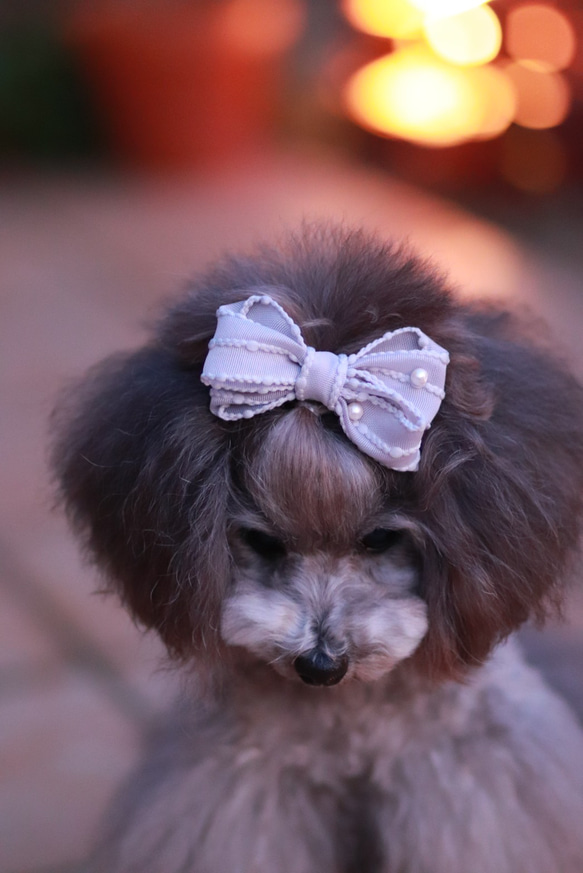 【シャルム】犬バレッタ　犬リボン　犬用りぼん 6枚目の画像