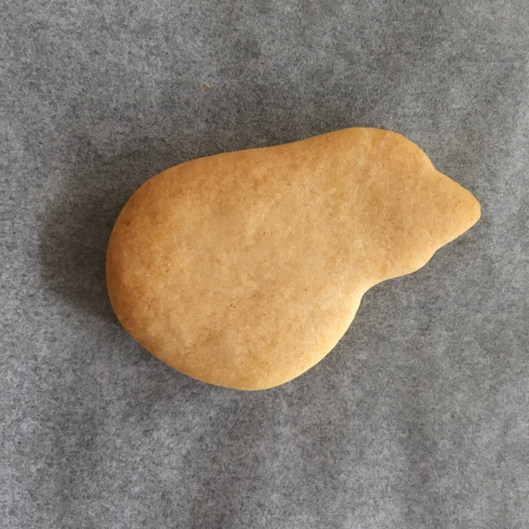 キーウィ　クッキー　型 1枚目の画像