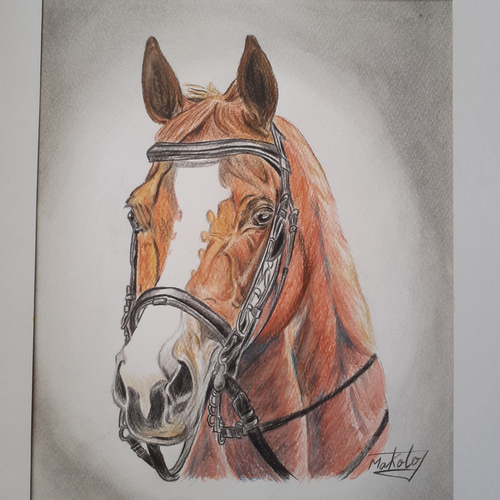 馬の色鉛筆画 （鉛筆画 競走馬 （競走馬,と騎手,追い込みゴール